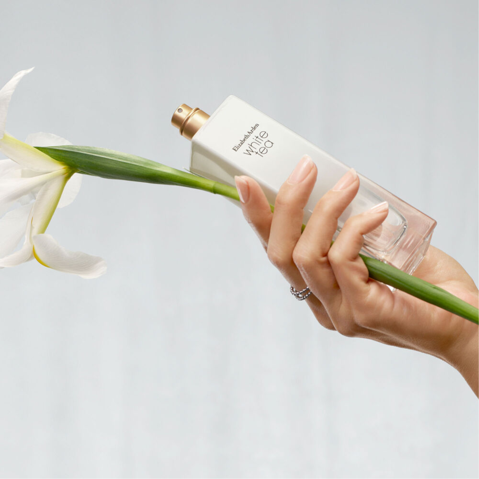 Elizabeth Arden White Tea Eau de Toilette for Women