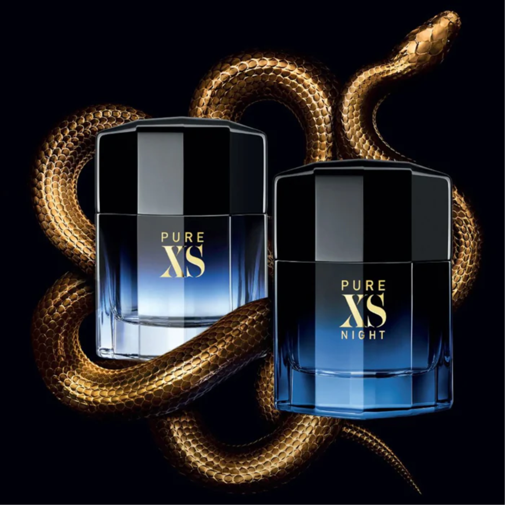 Paco Rabanne Pure XS Night Eau de Parfum for Men