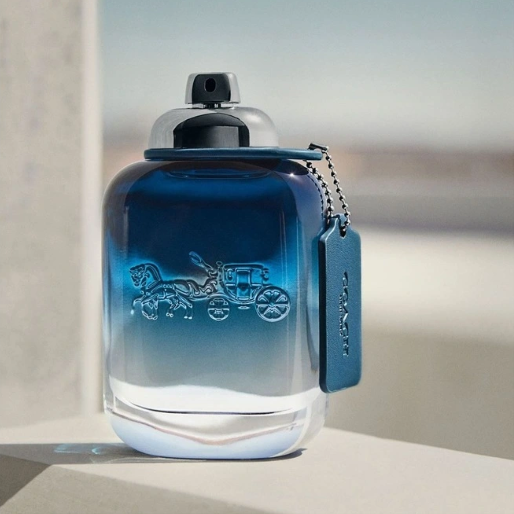 Coach Blue Man Eau de Toilette for Men