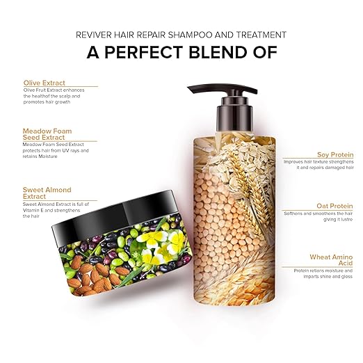 De Fabulous Reviver hair repair sahmpoo And hair repair treatment  Combo