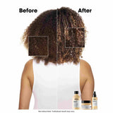 L'Oreal Absolut Repair Shampoo 300ml, for instantly resurfaced & repaired hair.