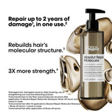 L'Oreal Absolut Repair Molecular Rinse-off Serum For Damaged Hair 250ml