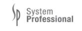 System Professional